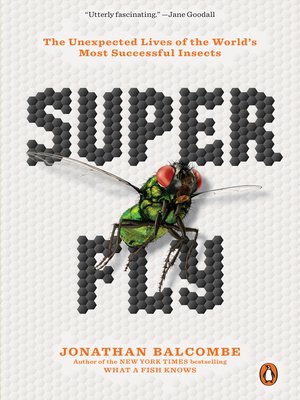 cover image of Super Fly
